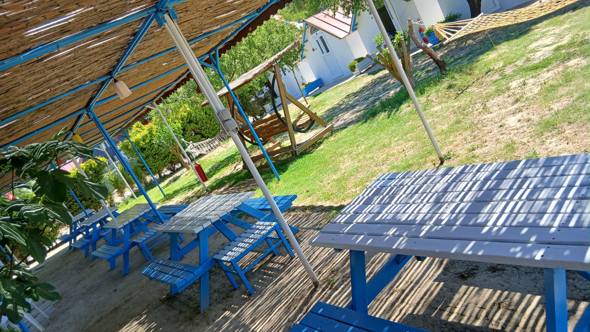 Image 11